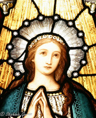 6674815753_c0d14db431_m